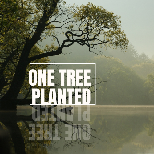 One Tree Planted - Partnership with Madera Design Studio- Buy statement jewelry and plant trees.