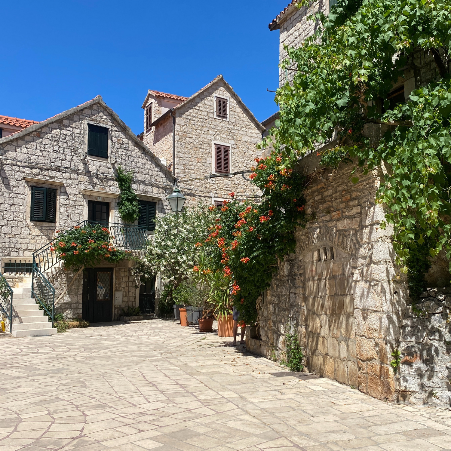 Stari Grad Croatia stacey shevlin's home 1/2 the year and the inspiration for olive wood jewelry at madera design studio