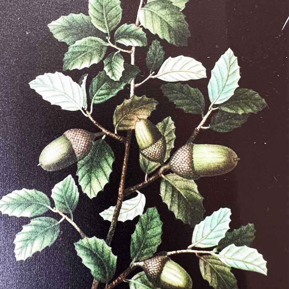 Madera wood dangle earrings acorn full pattern