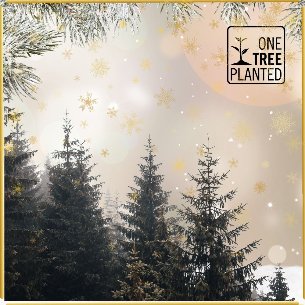 Unique Jewelry giving back to the earth donations to one tree planted - Image links to blog post about Giving back